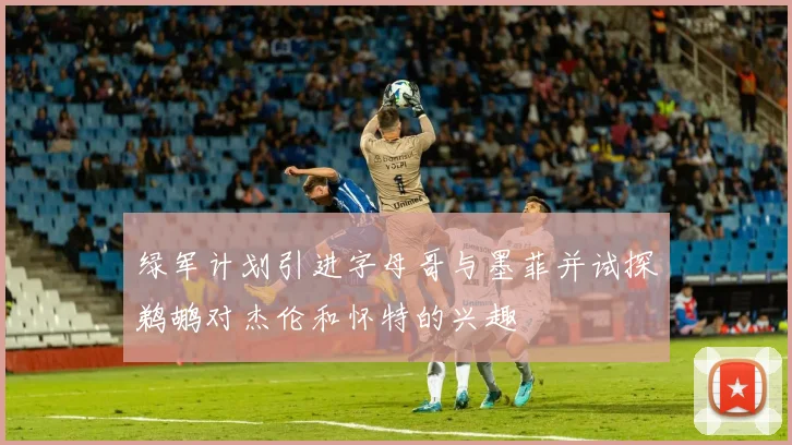 绿军计划引进字母哥与墨菲并试探鹈鹕对杰伦和怀特的兴趣