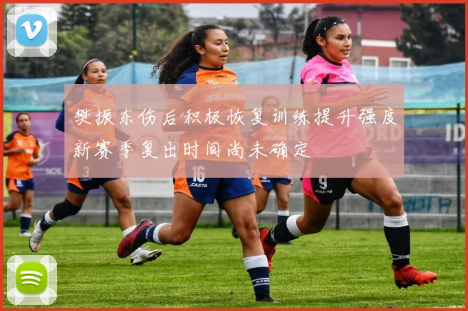 樊振东伤后积极恢复训练提升强度新赛季复出时间尚未确定