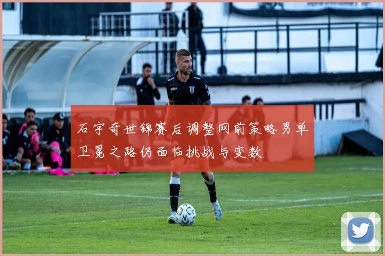 石宇奇世锦赛后调整网前策略男单卫冕之路仍面临挑战与变数