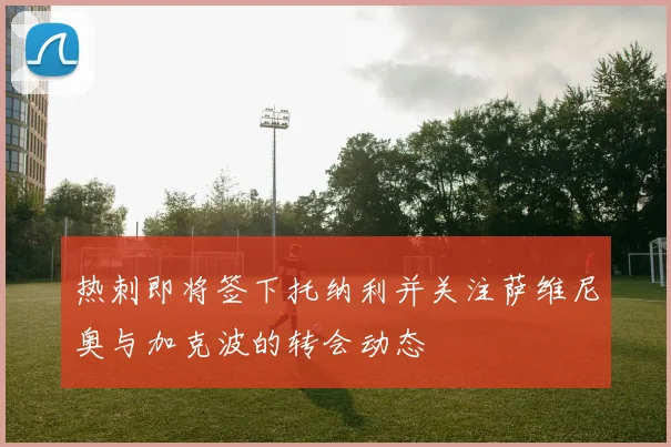热刺即将签下托纳利并关注萨维尼奥与加克波的转会动态